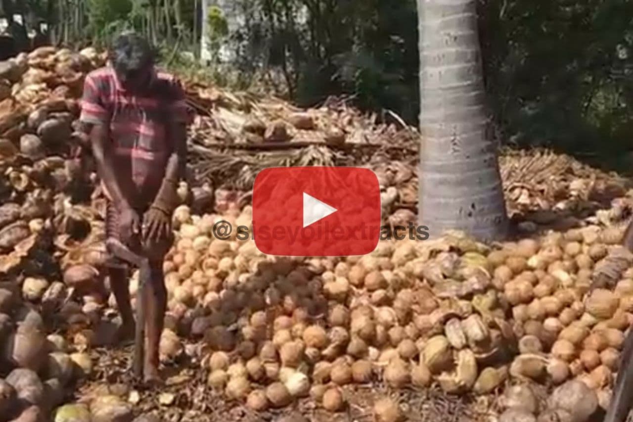 www.siseyoilextracts.in - Coconut Dehusking & Deshelling