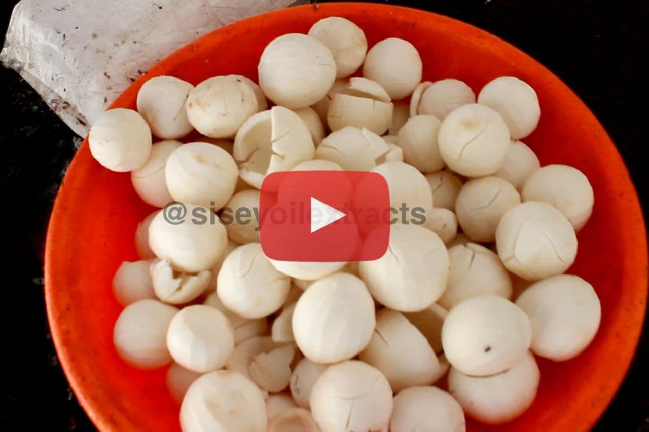 www.siseyoilextracts.in - Coconut Peeling